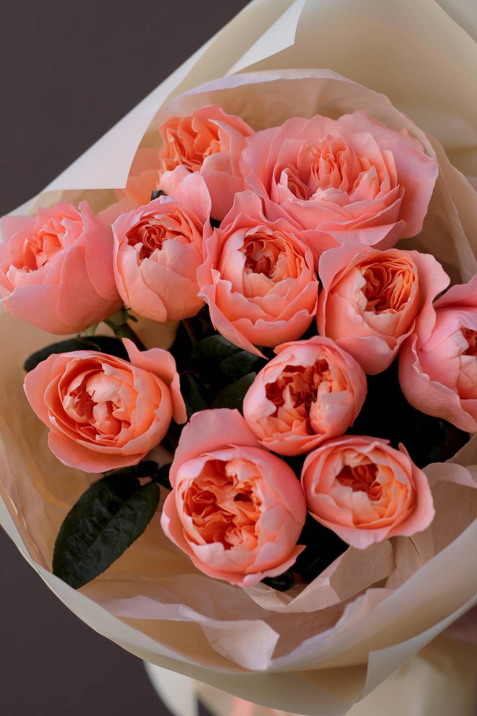 Букет Дракоша - с доставкой по Минску