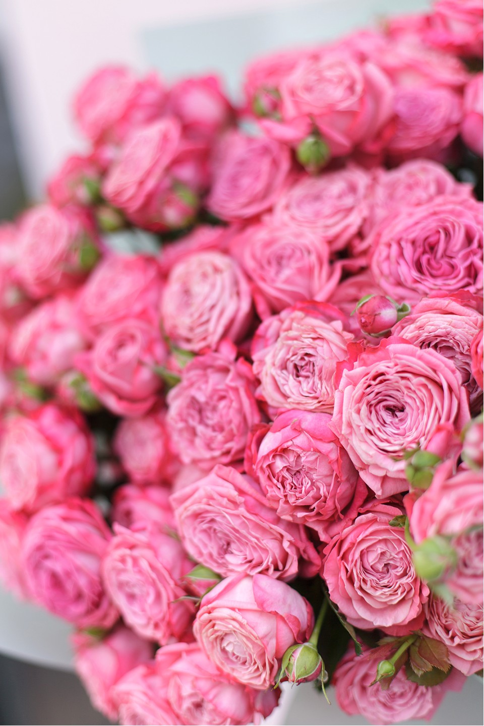 Букет Артижа - с добавлением зелени