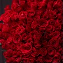 Букет 151 красная роза - подарочное оформление - миниатюра