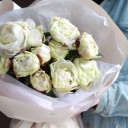 Букет пионов Рэйна - миниатюра