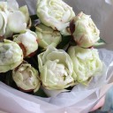 Букет пионов Рэйна - с доставкой по Минску - миниатюра