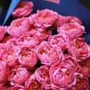 Букет Джастин - быстрая доставка в Минске - миниатюра