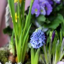 Корзина Сиреневые Мечты - с доставкой по Минску - миниатюра