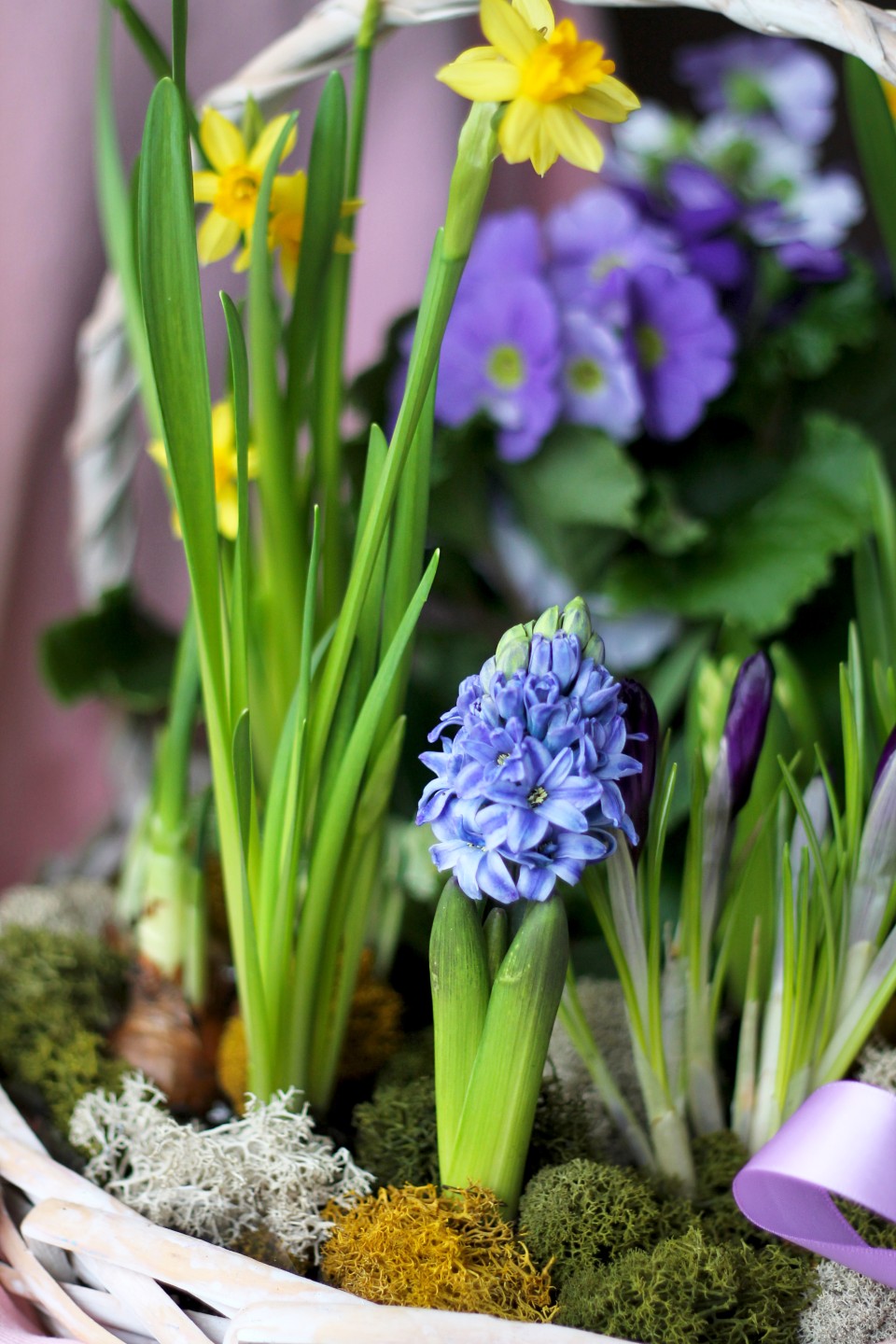 Корзина Сиреневые Мечты - с доставкой по Минску