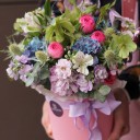 Коробочка Альхена - миниатюра