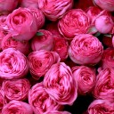 Букет Шик - подарочное оформление - миниатюра