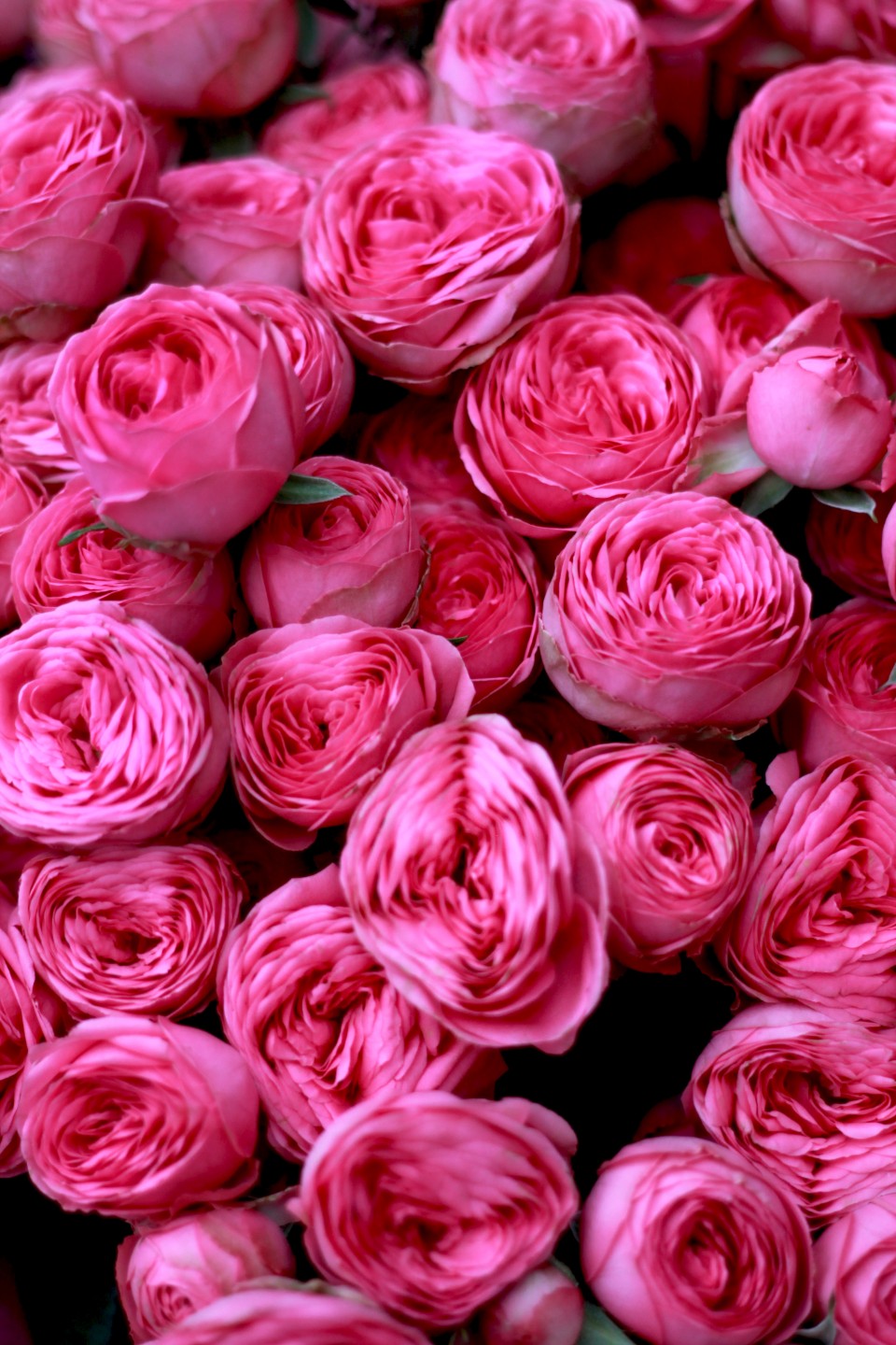 Букет Шик - подарочное оформление