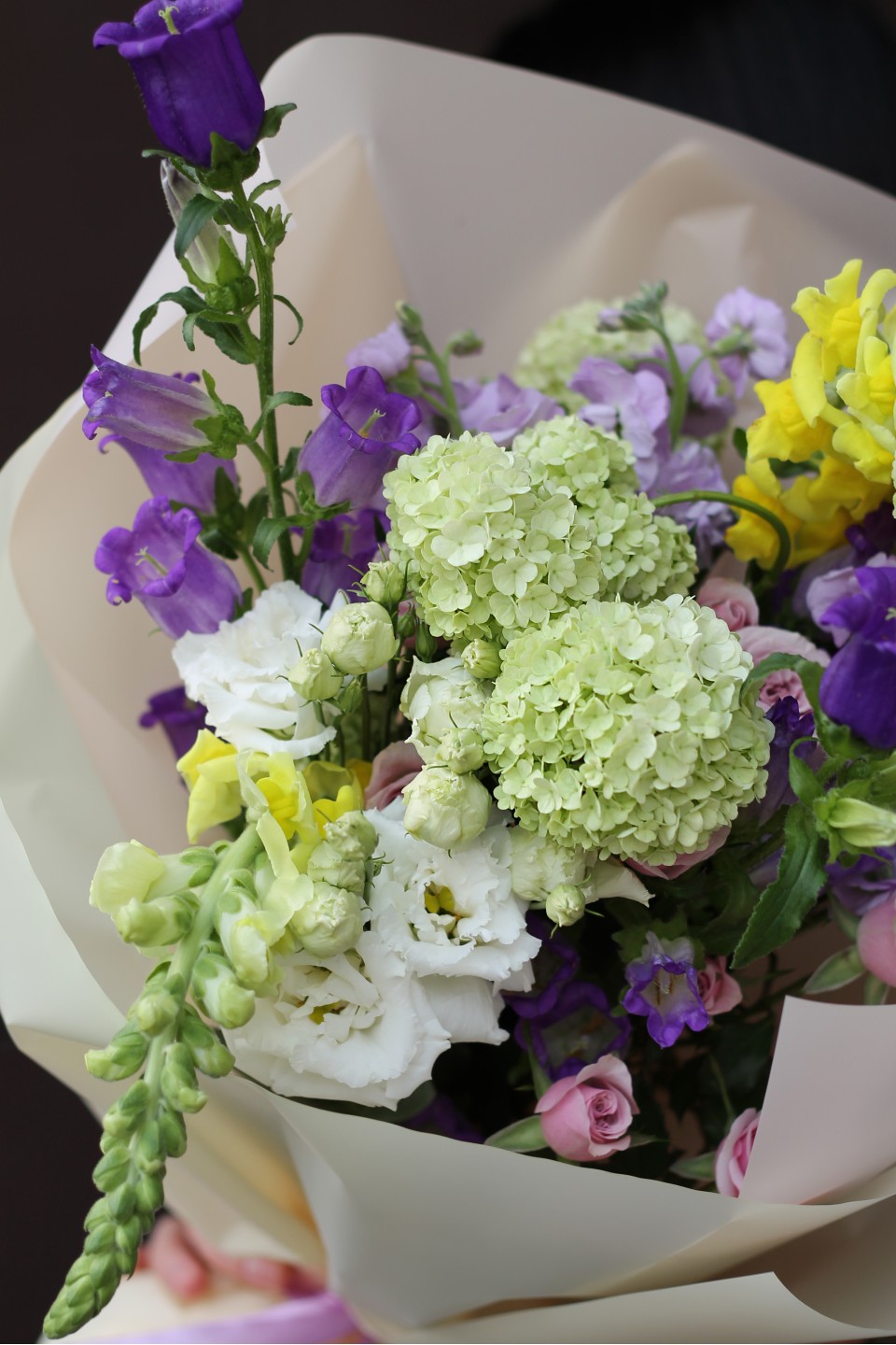 Букет Асария - подарочное оформление