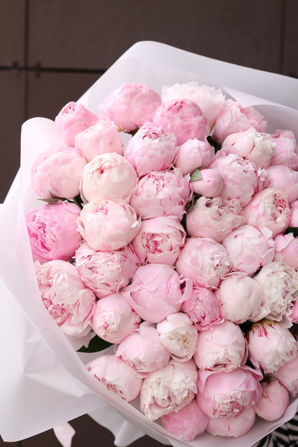 Букет 51 пион - с доставкой по Минску