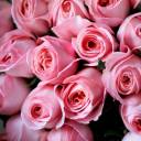 Букет Блаженство - с доставкой по Минску - миниатюра