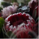 Букет Рубин - с добавлением зелени - миниатюра 