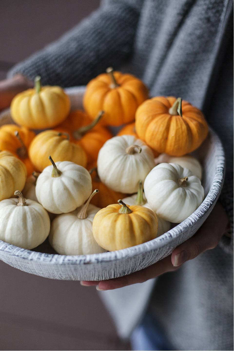 Тыква (Cucurbita)