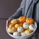 Тыква (Cucurbita) - с доставкой по Минску - миниатюра