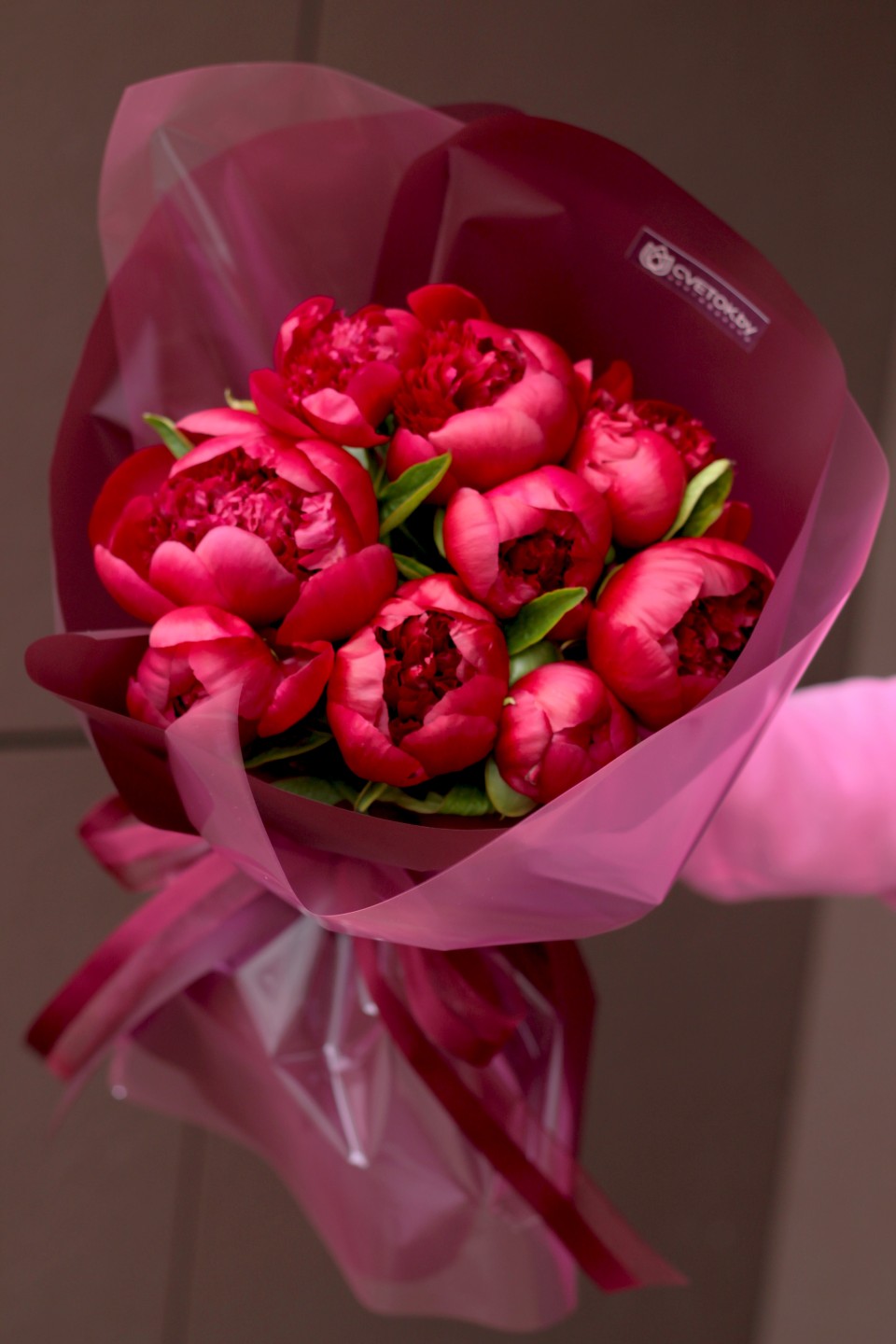 Букет пионов Ред шарм