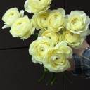 Ранункулюс Клуни - с доставкой по Минску - миниатюра