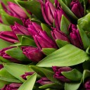 Букет Поддержка - с добавлением зелени - миниатюра 