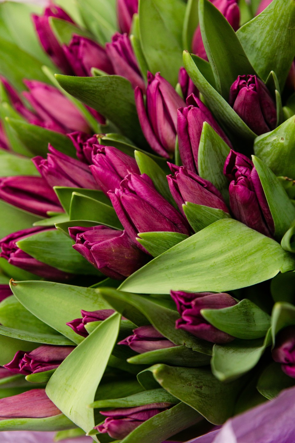 Букет Поддержка - с добавлением зелени