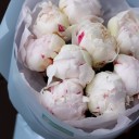 Букет Кис - с доставкой по Минску - миниатюра