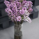 Сирень лавандовая - с доставкой по Минску - миниатюра