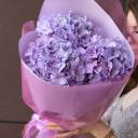 Букет гортензий Очи - миниатюра