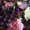 Композиция Кунцит - быстрая доставка в Минске - миниатюра