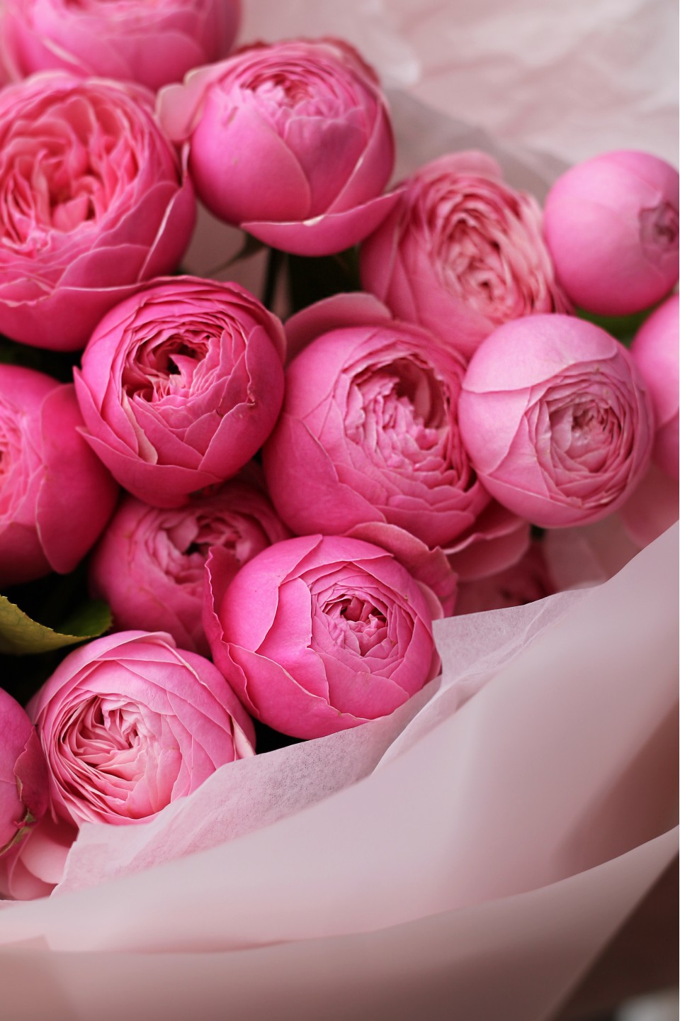 Букет Поцелуй ангела - с доставкой по Минску