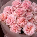 Букет Роскошный бархат - с доставкой по Минску - миниатюра