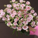 Роза кустовая Надя Дуран - с добавлением зелени - миниатюра 