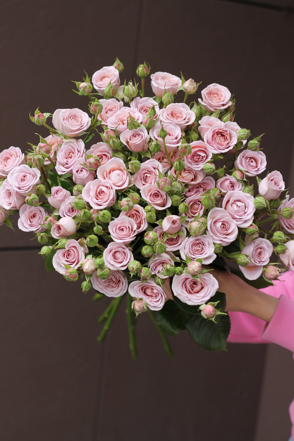 Роза кустовая Надя Дуран - с добавлением зелени