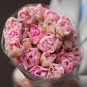 Пионовидный Розовый Тюльпан - миниатюра