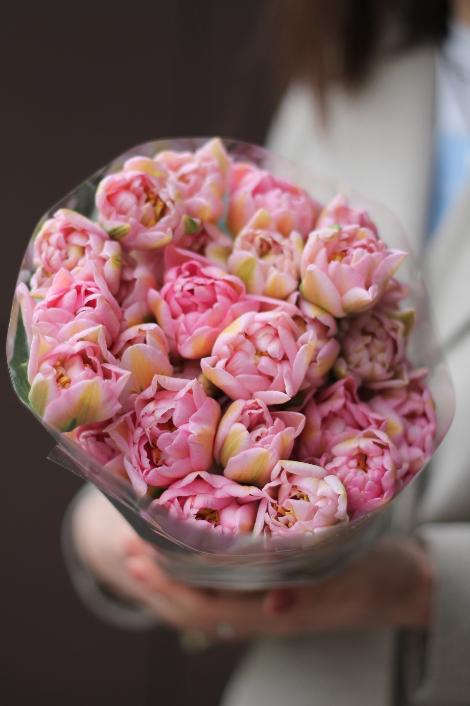 Пионовидный Розовый Тюльпан