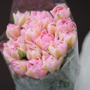 Пионовидный Розовый Тюльпан - с добавлением зелени - миниатюра 