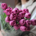 Пионовидный  dark purple Тюльпан - с доставкой по Минску - миниатюра