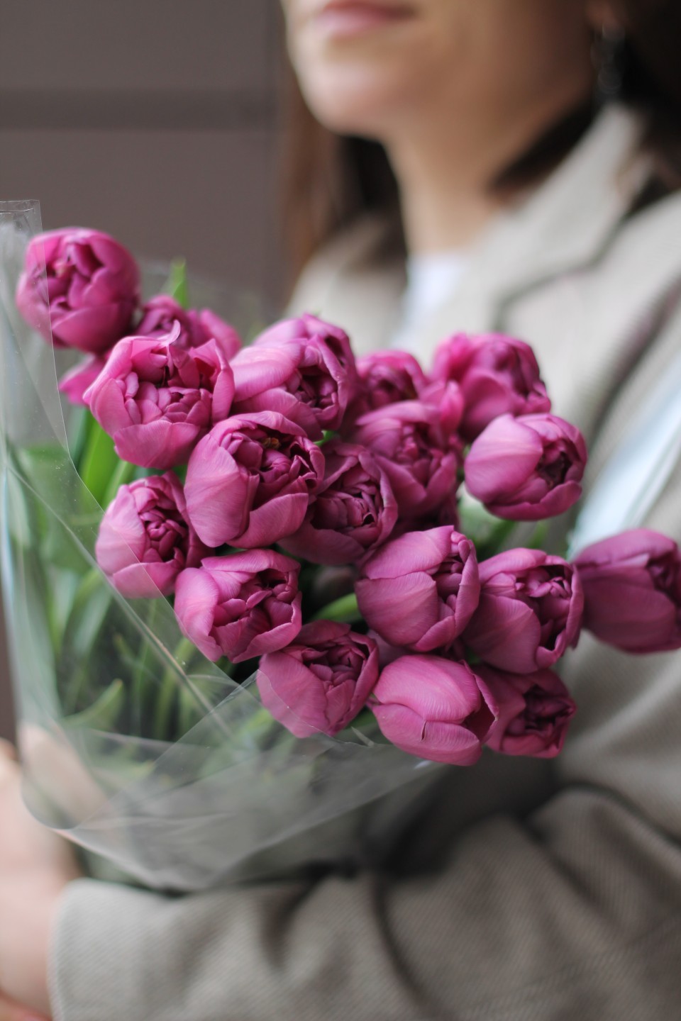 Пионовидный  dark purple Тюльпан - с доставкой по Минску