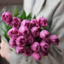 Пионовидный  dark purple Тюльпан - миниатюра