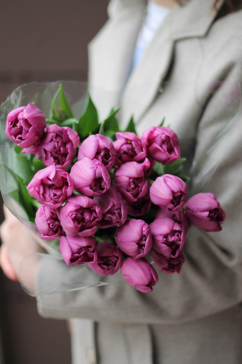 Пионовидный  dark purple Тюльпан