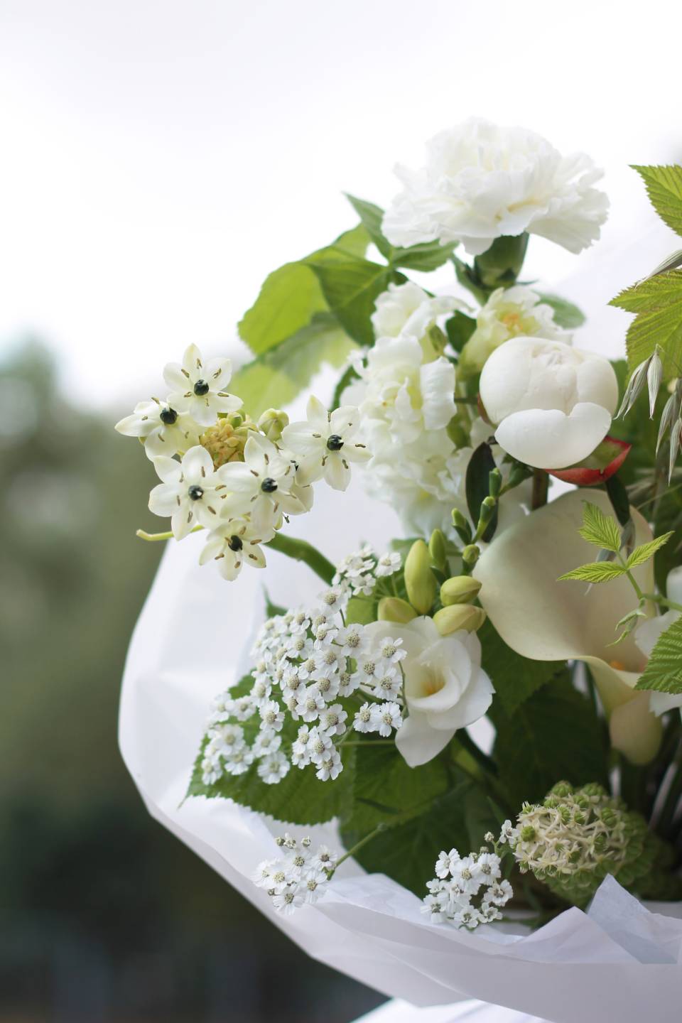 Букет Кассея - быстрая доставка в Минске