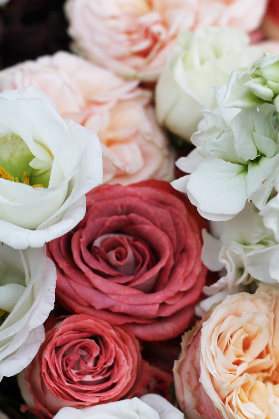 Букет Пышное торжество - подарочное оформление