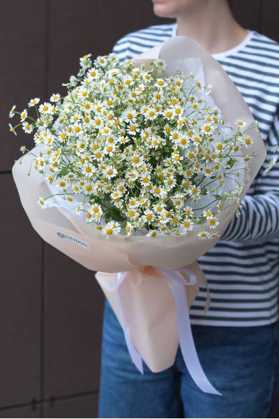 Букет "Камомилла"