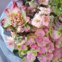 Букет Кармин - миниатюра