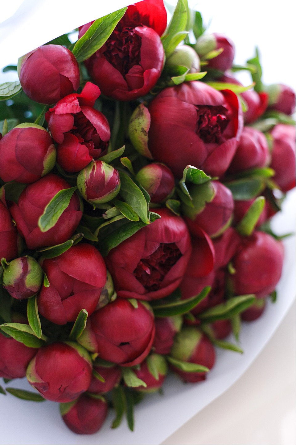 Букет Бердский Рубин - с доставкой по Минску