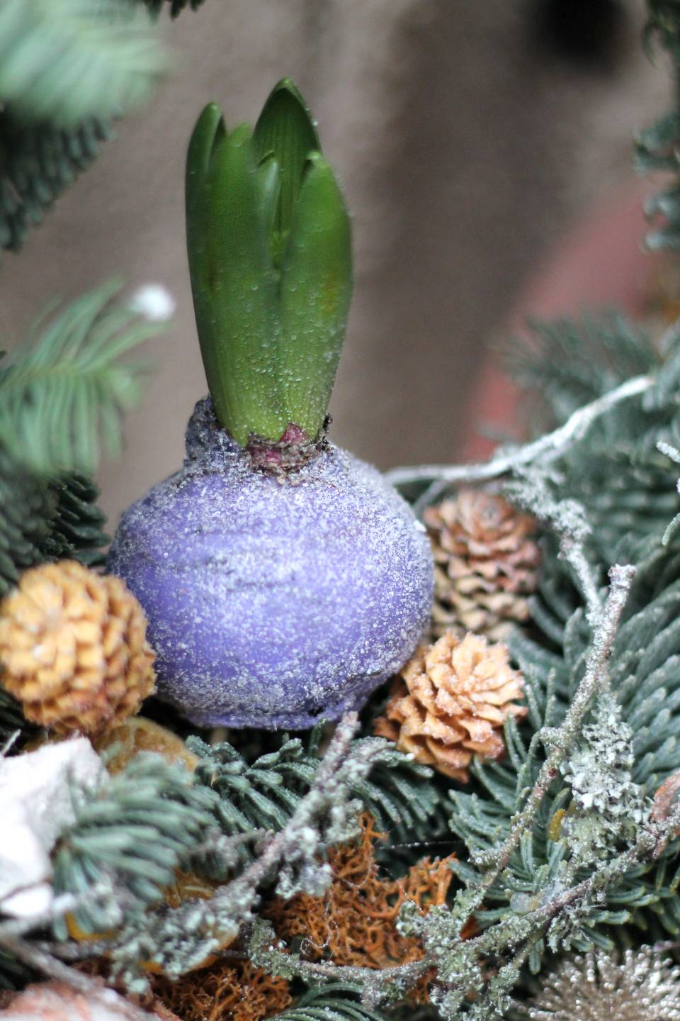 Новогодний венок Зумбул - с доставкой по Минску