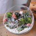 Флорариум Адриатическое Море - с добавлением зелени - миниатюра 