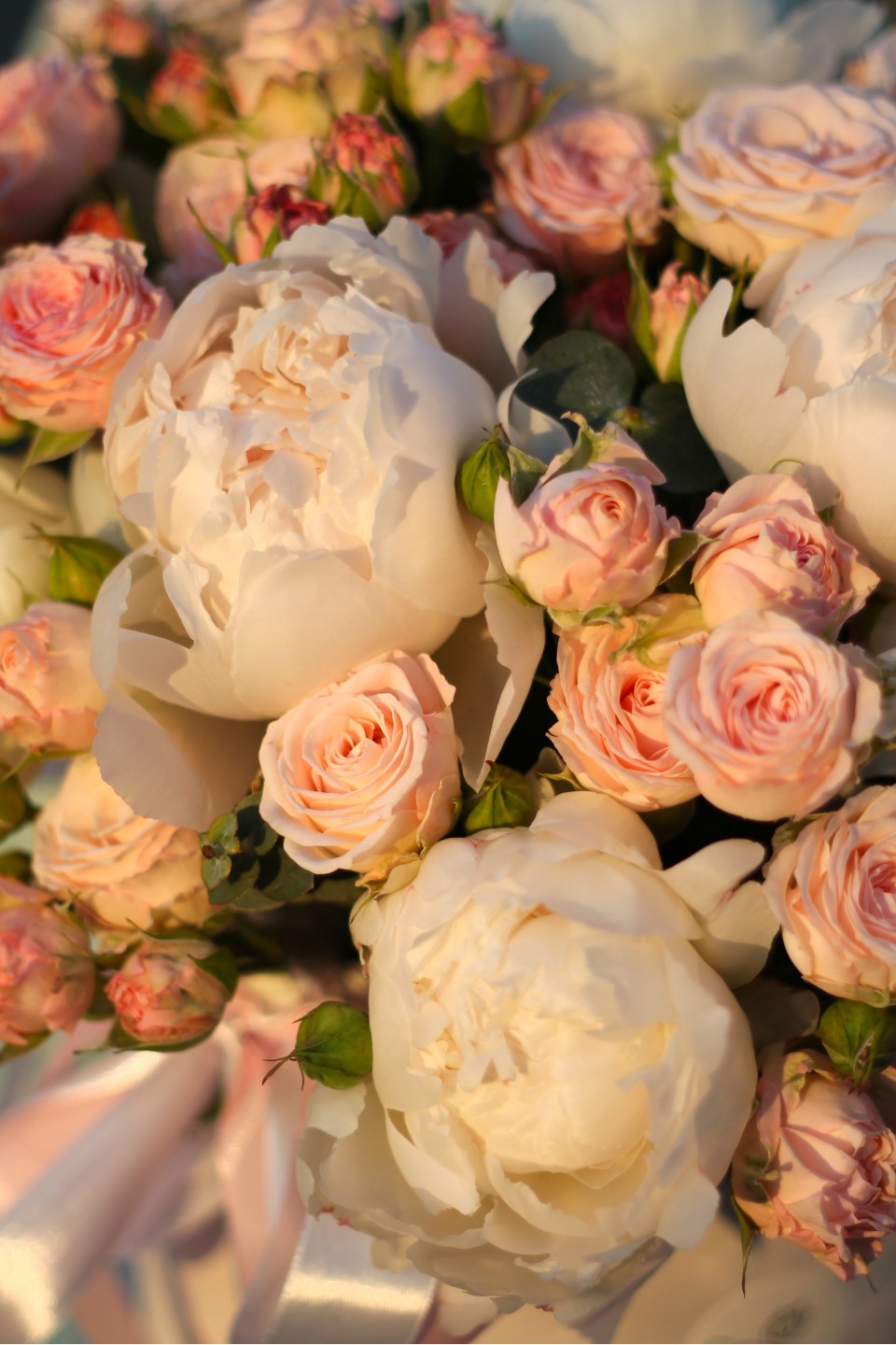 Коробка Кринолин