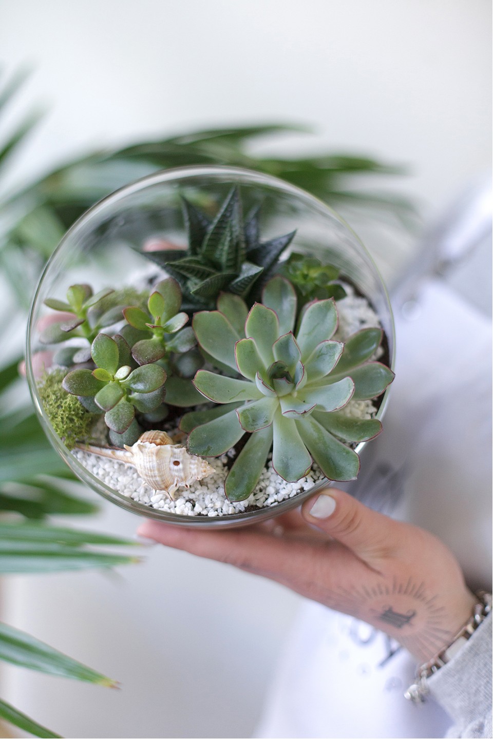 Флорариум Оазис