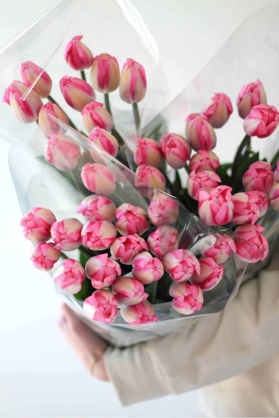 Тюльпан Садовый - с доставкой по Минску