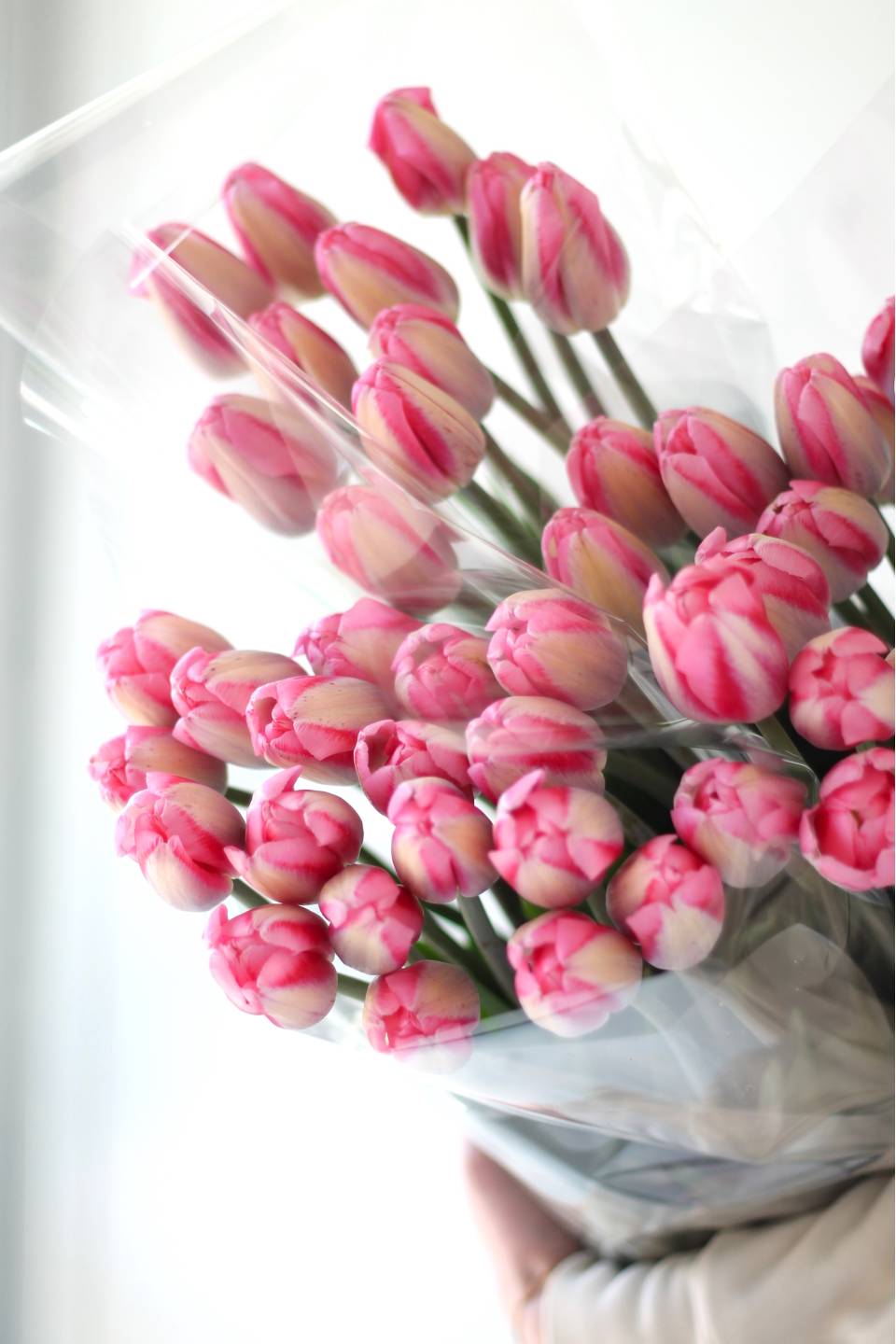 Тюльпан Садовый - с добавлением зелени