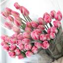 Тюльпан Садовый - подарочное оформление - миниатюра