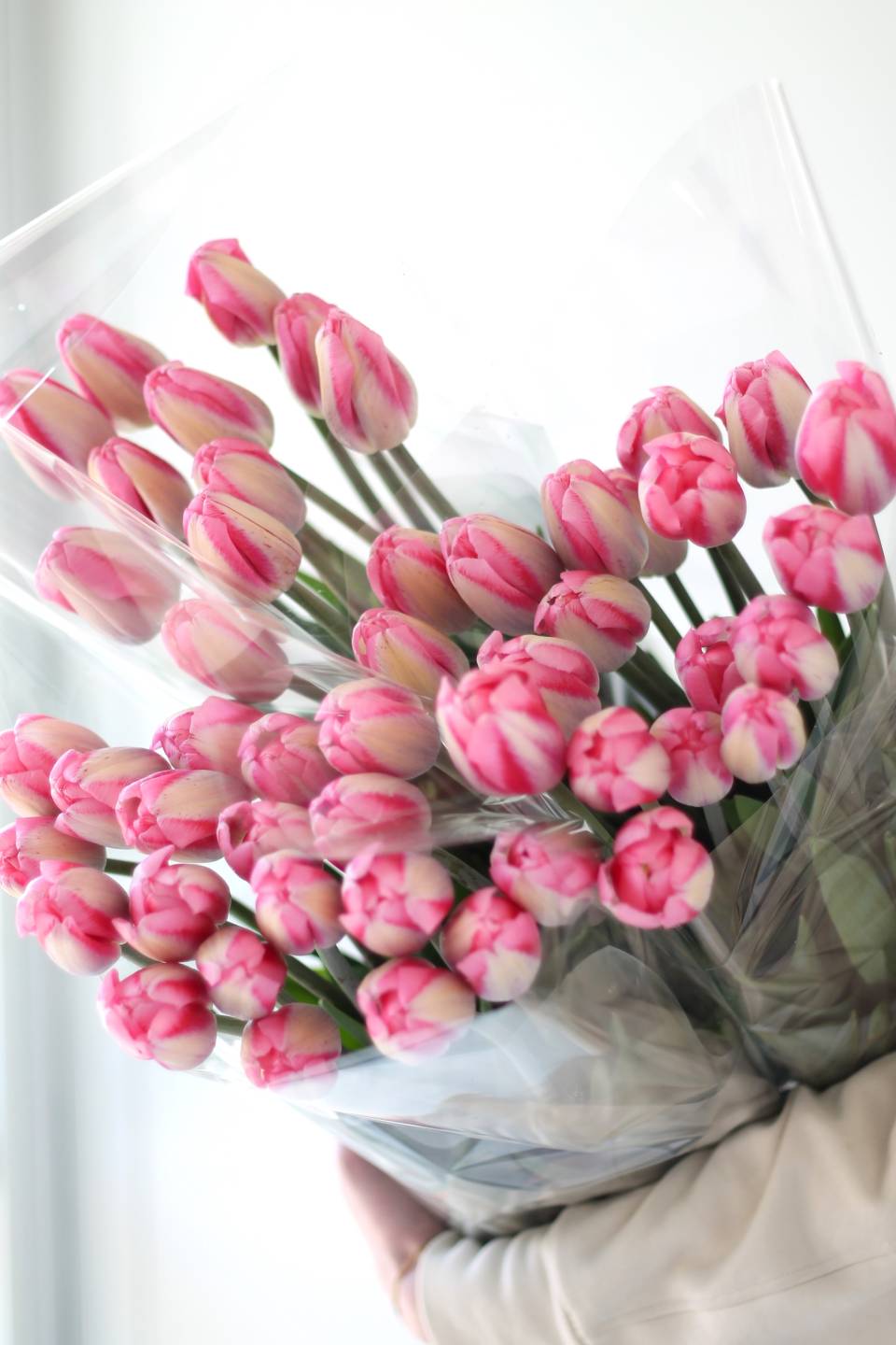 Тюльпан Садовый - подарочное оформление