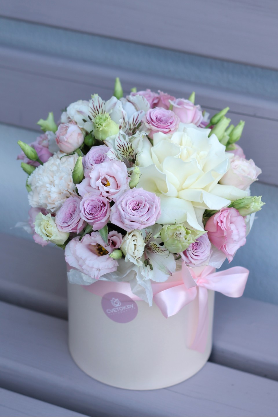 Коробочка Акебия